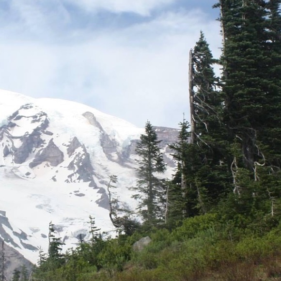 Meet your Posher, Libby - Picture 1 of 1